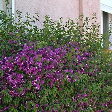 Hotel Princesse D'azur 2*